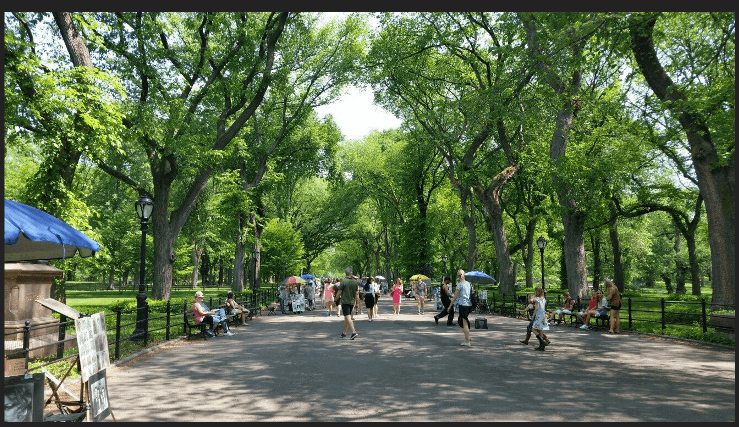 The Mall in Central park